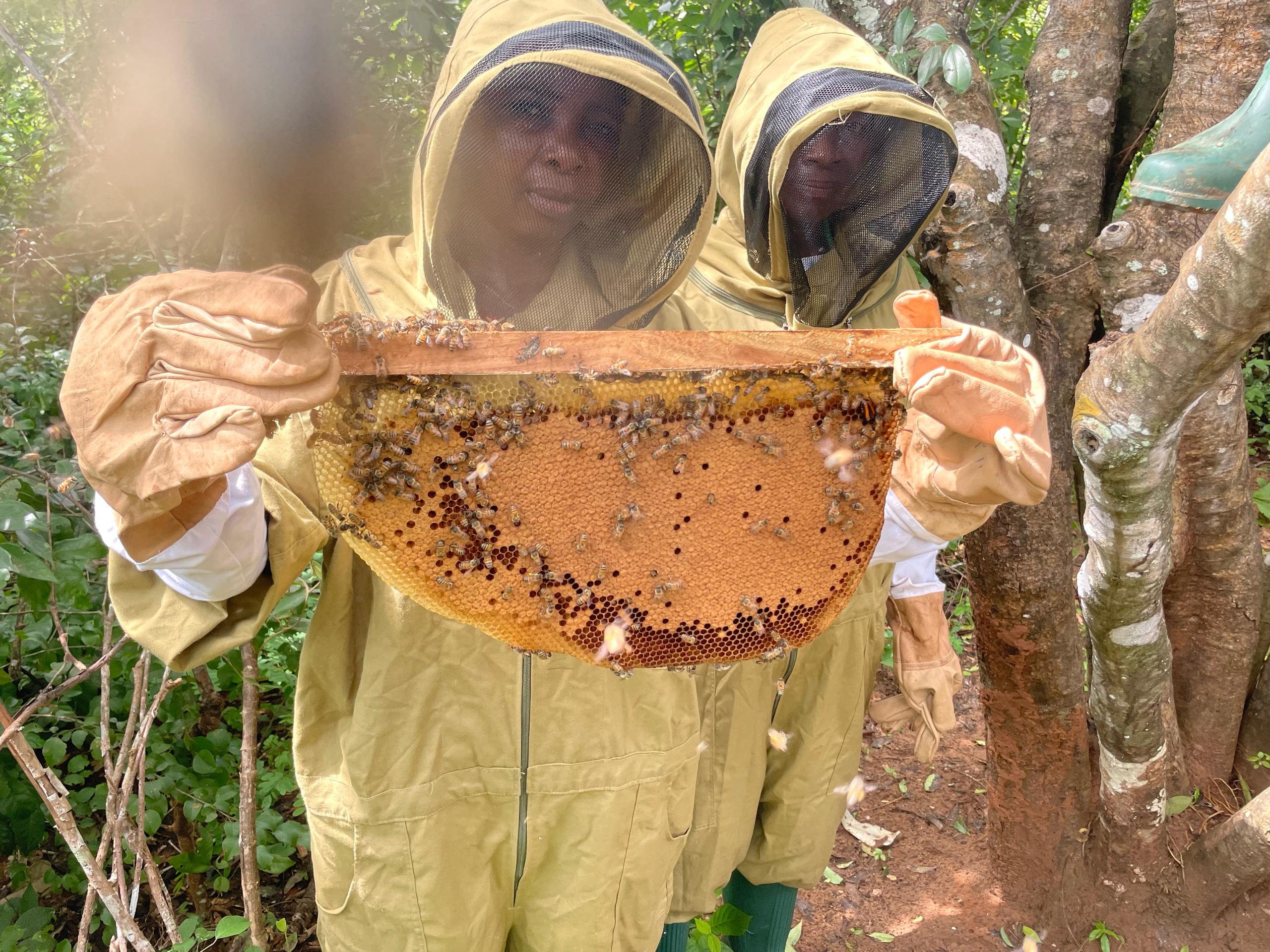 9ab5c487-451e-460c-94b1-b025e37d6ccd