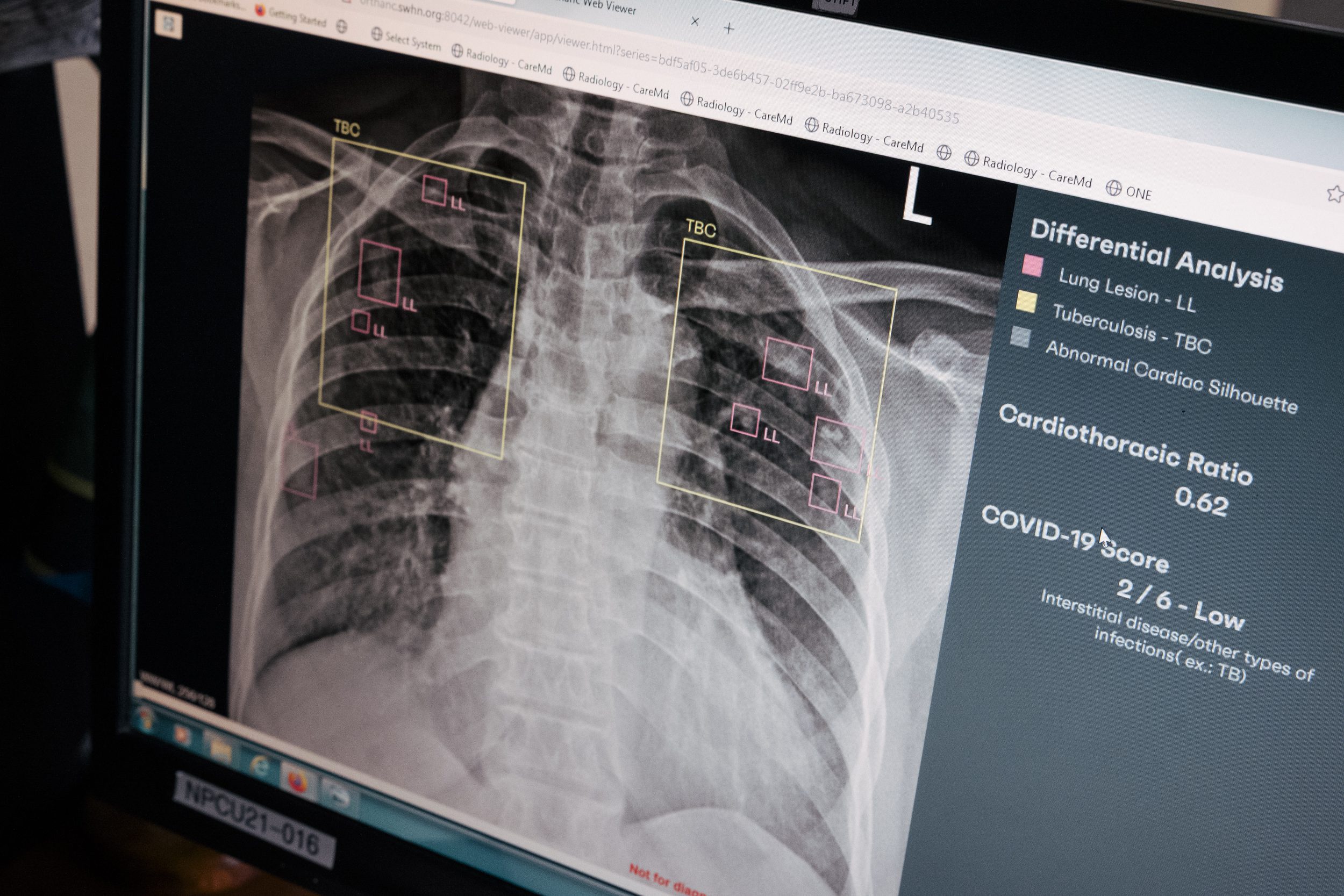 Foto: Manuela Federl